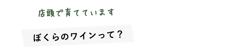 店頭で育てていますぼくらのワインって？